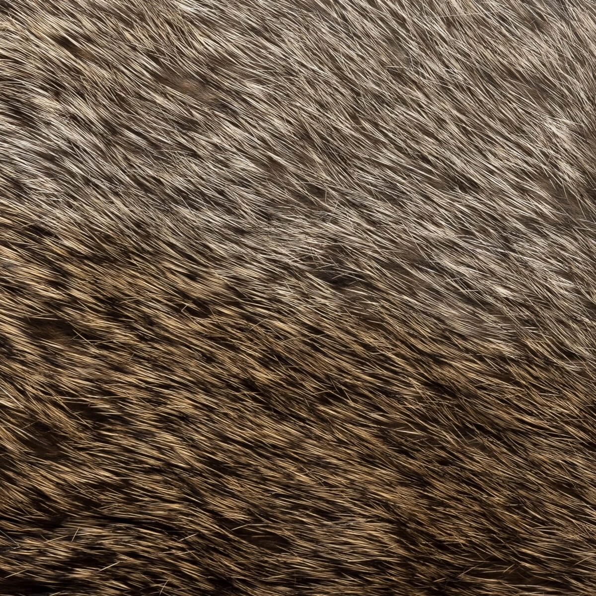 Marco (black) - Italian Lambskin Leather Gloves With Brown Rabbit Fur Lining 5 Marco (black) - Italian Lambskin Leather Gloves With Brown Rabbit Fur Lining - Image 5