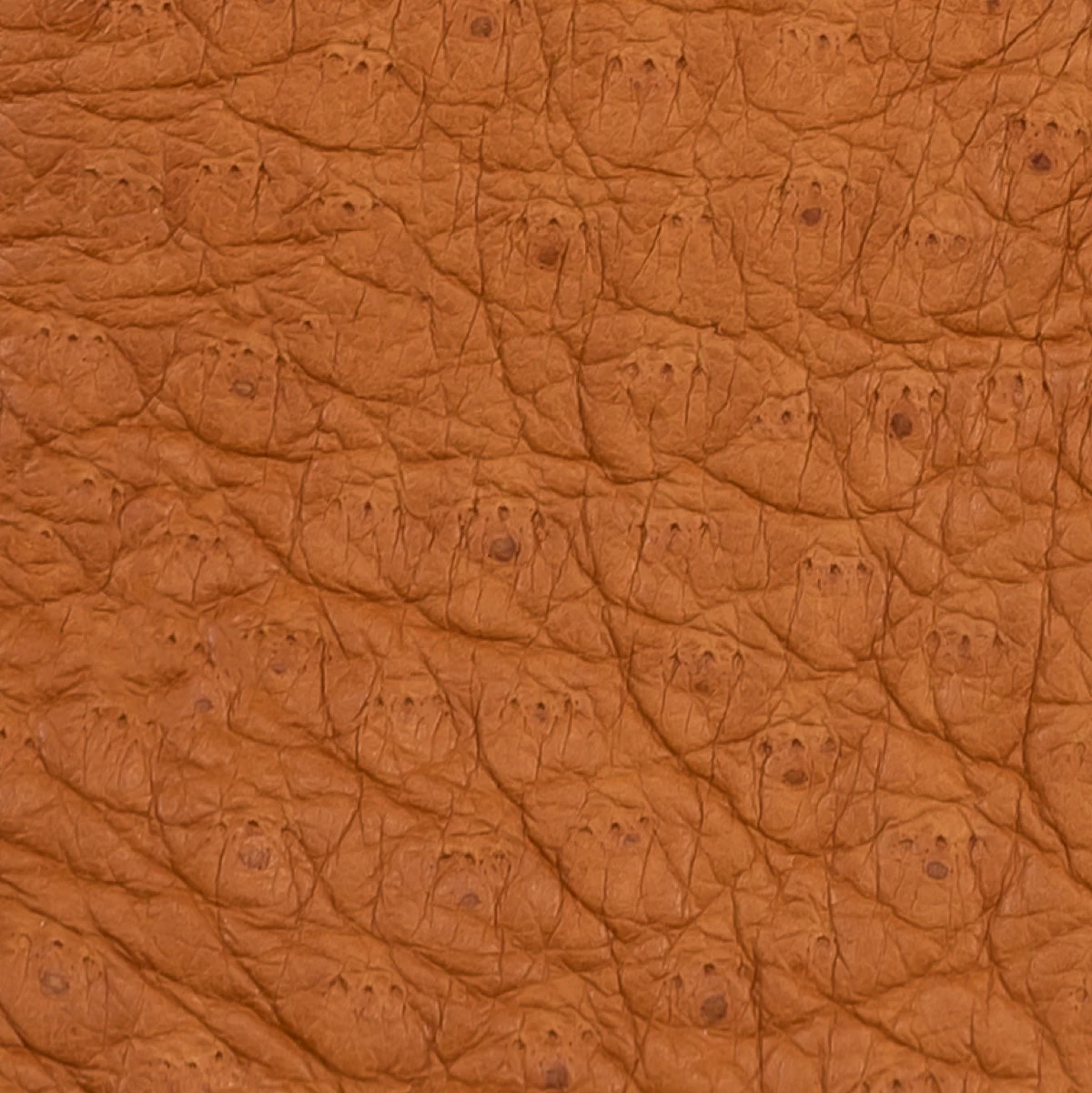 Antonio (brown) - Italian Peccary Leather Gloves With Cashmere Lining 3 Antonio (brown) - Italian Peccary Leather Gloves With Cashmere Lining - Image 3