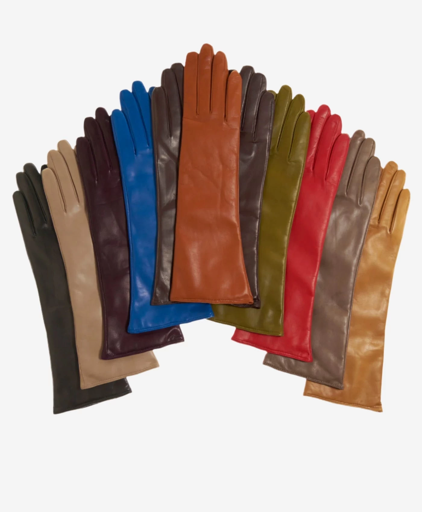 Leonora (black) - Italian "8 Button Length" Cashmere Lined Leather Gloves 2 Leonora (black) - Italian "8 Button Length" Cashmere Lined Leather Gloves - Image 2