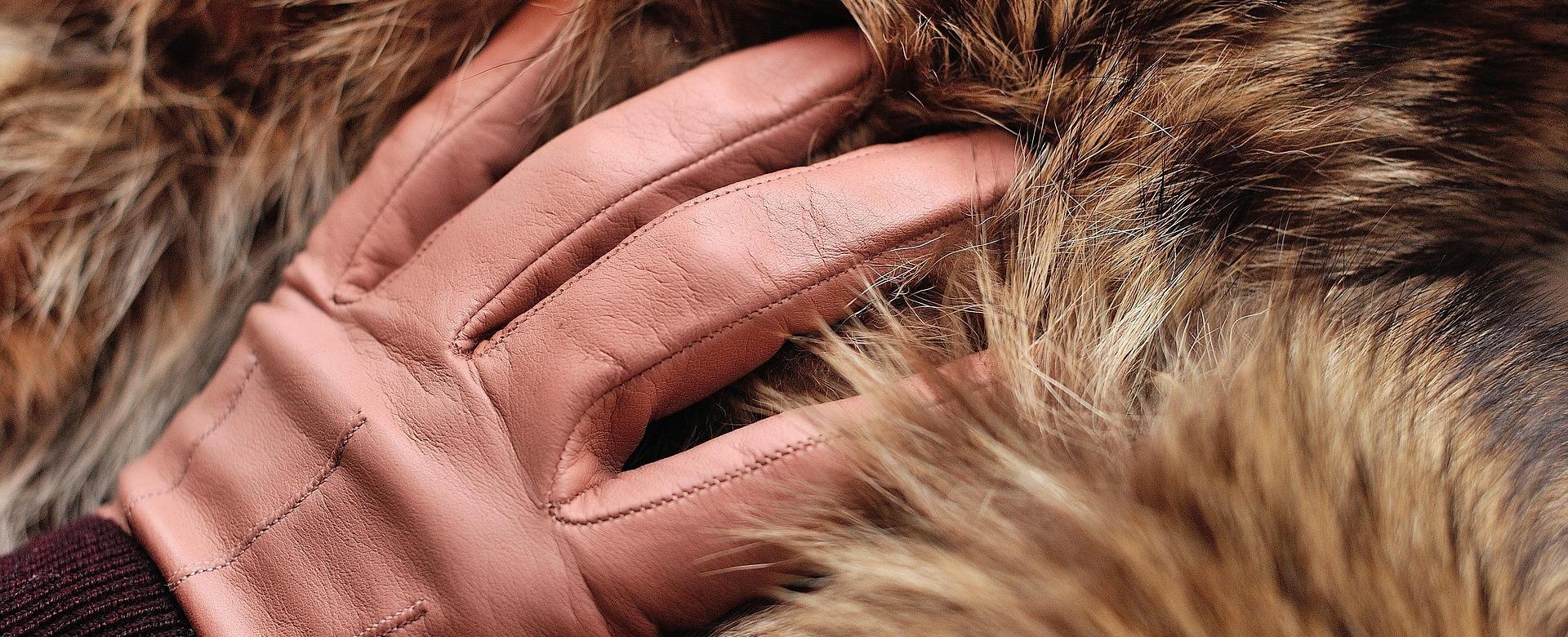 Fratelli Orsini Shop 18 Fratelli Orsini Shop -Fratelli Orsini Shop tan gloves 4562830 1920